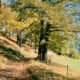 Gerharts - Blog - Keschtnweg